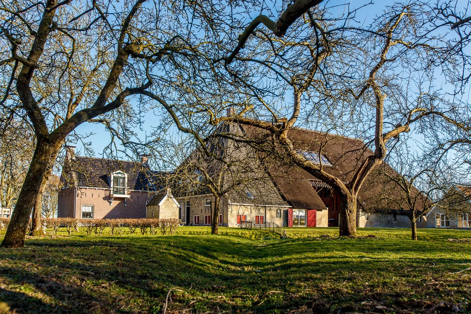 Van Camminghastate, Arum: Het erf van de boerderij onder de hoge bomen, met de lage daken in het Friese landschap