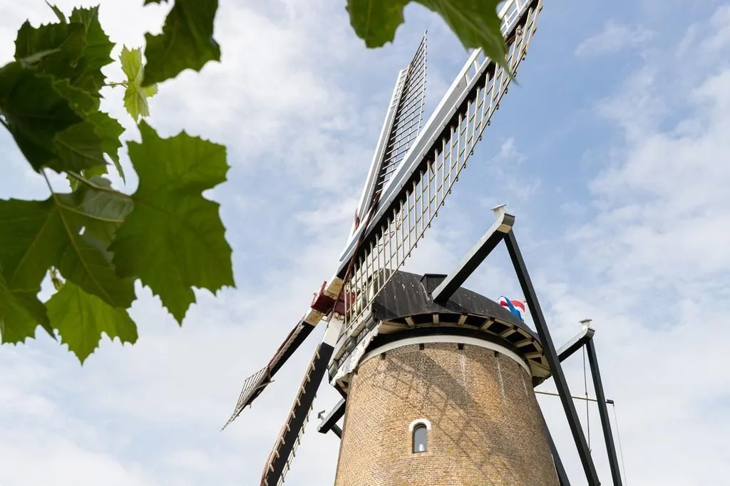 Korenmolen De Haan, Brouwershaven: De wieken van de molen, van onderaf gezien