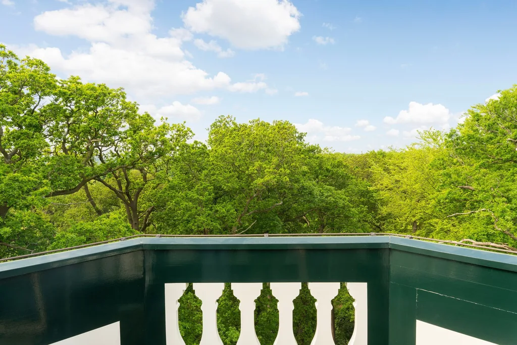 Uitzicht over de boomtoppen vanaf de balustrade van de Theekoepel in Wassenaar