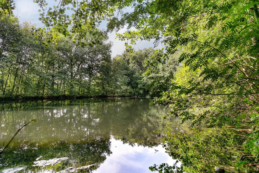 Watermolen De Hoop, Heerde: Het water bij de molen, tussen het groen